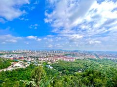 -府君山公园