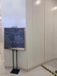 -欧扬医疗美容