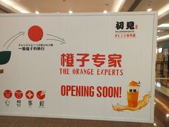 -小满手工粉(上海品尊国际店)