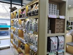 -美联众合动物医院·24h转诊中心