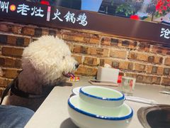 -沧州成老灶火锅鸡(鹿泉总店)
