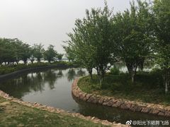 -滆湖低碳生态公园