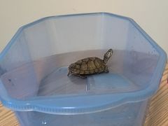 -欢乐牧场海鲜烤肉自助(牡丹园店)