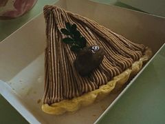 -猫里有甜