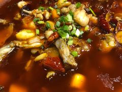 香辣盆盆牛蛙-李叔叔虾蟹大排档(青羊店)