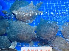-湘里乡亲甲王二老店