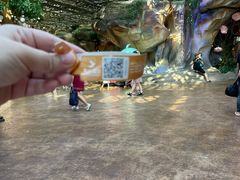 -杭州开元森泊度假乐园