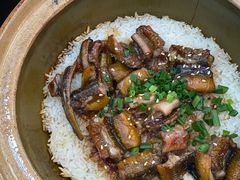 -红星光发煲仔饭(文海店)