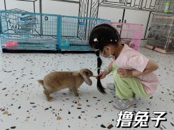 -优沃得自然教育农场·冰雪乐园·生日会·研学