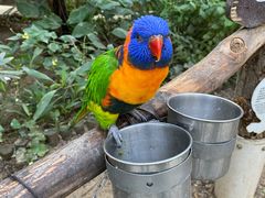 -南宫五洲植物乐园