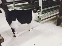 -瓦匠工社·马赛克·积木拼图·亲子手工DIY