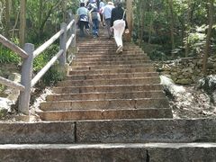 -紫金山山顶公园
