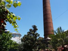 -The Grounds of Alexandria