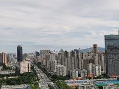 -板樟山森林公园