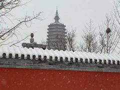 -西海子公园