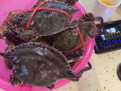 -港畔赶海蒸汽海鲜烧烤自助(仙螺岛店)