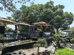 -蘇河湾·新鲁菜·泰山宴(泰山店)