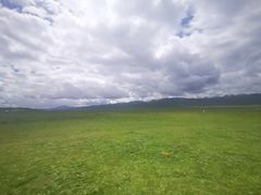 -大冬树山垭口