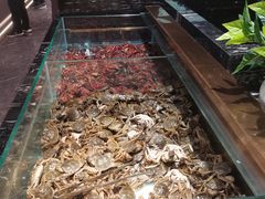 -鼎香缘海鲜自助火锅烤肉(锦辉购物广场店)