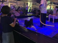 -不可思议减压馆·解压博物馆·摔碗发泄·团建定制