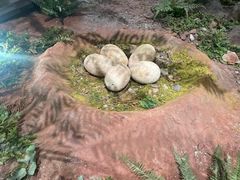 -湖南省地质博物馆