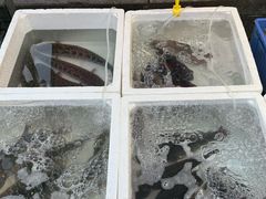 -万达广场(龙湖店)