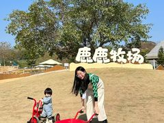 -盈香心动乐园