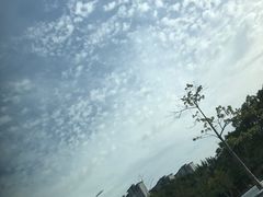 -老湘亲·品鉴湘菜(蔡塘爱琴海店)