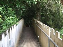 -怀托摩萤火虫洞