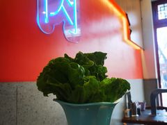 -揽月斋炙子烤肉·清真(安定门·五道营店)