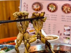 -耗儿鱼蛙蛙叫·老成都火锅(蛇口海昌街店)