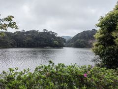 -广州市石门国家森林公园