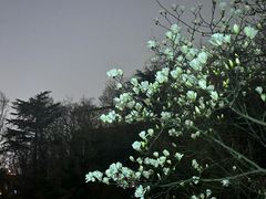 -观象山公园