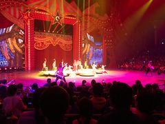 -珠海横琴长隆《卡卡虎奇遇记》