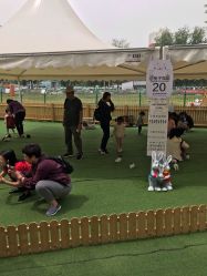 -萌宠亲子动物乐园(槐房万达店)