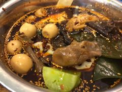-舒记钵钵鸡