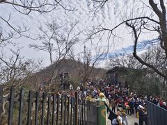 -紫金山山顶公园