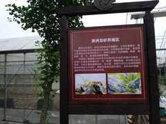 -米果果小镇