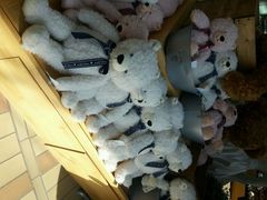 android_upload_pic-济州岛泰迪熊博物馆