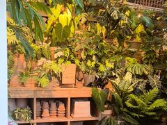 -自由生长植物工作室(深港花卉中心店)