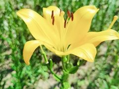 -长春公园(普阳街道)