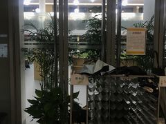 -同济大学（四平路校区）-图书馆