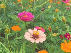 -白鹭湾湿地公园