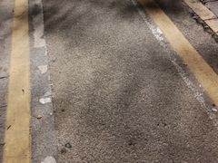 -云溪植物园