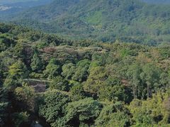 -黄埔油麻山森林公园