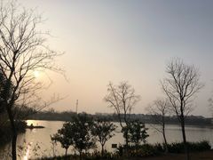 -上海长兴岛郊野公园