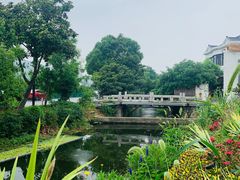 -树山生态村