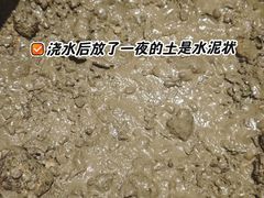 -弗劳尔花艺坊(龙涛店)