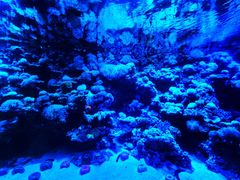 -太平洋海底世界