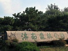 -济南森林公园
